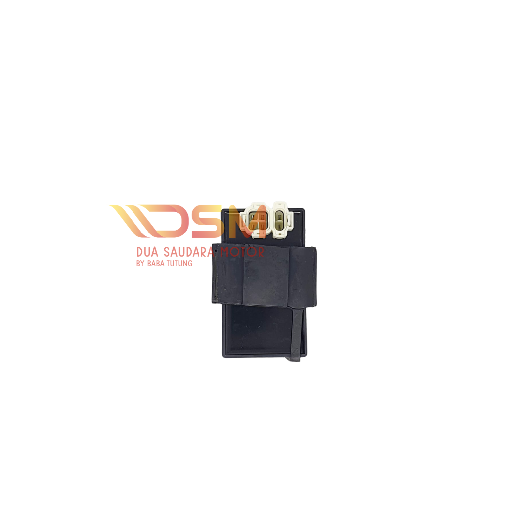 CDI Unit DC Viar Karya 150 200 300 cc Radiator