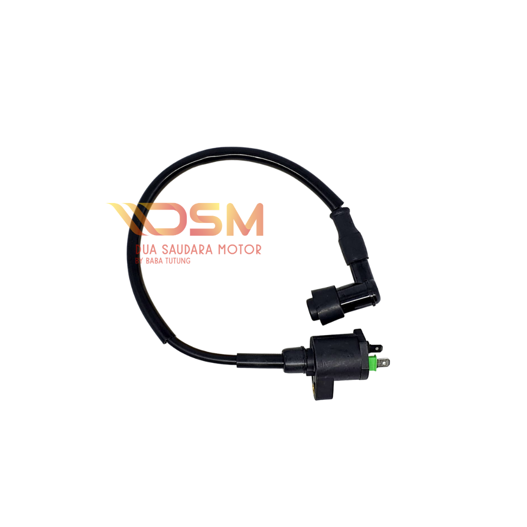 Koil Viar Karya 150 200 300 cc Coil Assy CDI Ignition Viar Karya