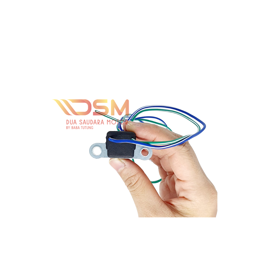 Pulser DC Viar Roda 3 Karya 150 200 300 cc Induced Coil Viar Karya
