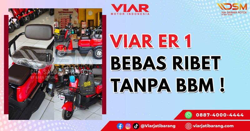 viar er1