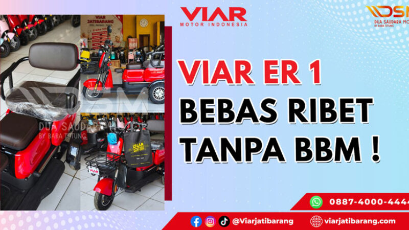 viar er1