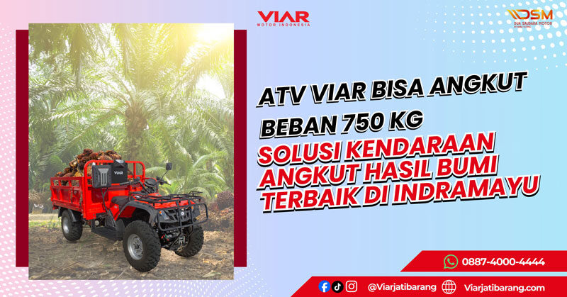 VXT-350