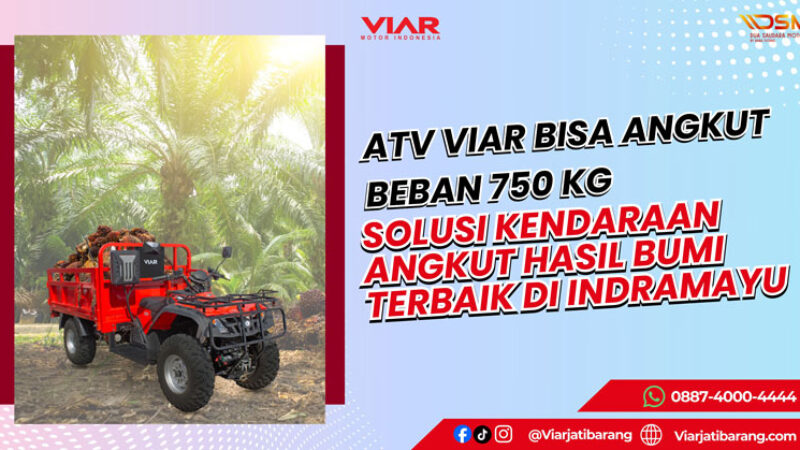 VXT-350