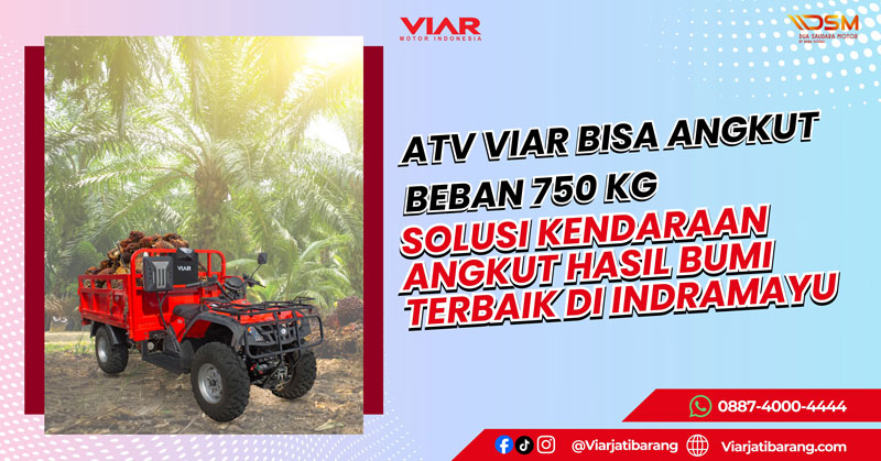 VXT-350