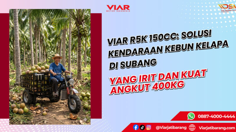 Viar R5K 150cc Subang